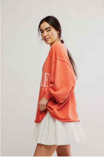 We The Free Venice V Neck Graphic Tee featuring a relaxed fit, vintage-inspired graphic design, and a V-neckline, Rose Sienna Combo