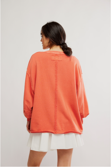 We The Free Venice V Neck Graphic Tee featuring a relaxed fit, vintage-inspired graphic design, and a V-neckline, Rose Sienna Combo