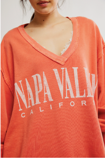 We The Free Venice V Neck Graphic Tee featuring a relaxed fit, vintage-inspired graphic design, and a V-neckline, Rose Sienna Combo